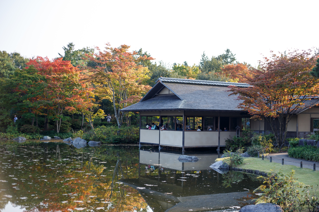 日本庭園２