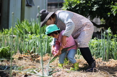 う～よいっしょ！！