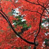 横蔵寺の秋Ⅲ