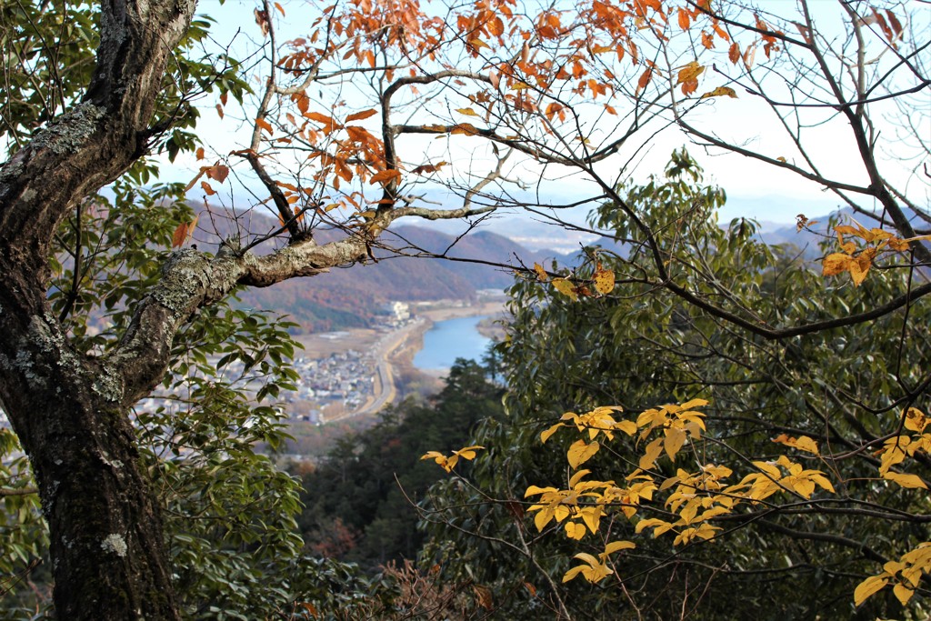 登山日和(晩秋の金華山)