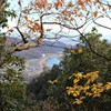 登山日和(晩秋の金華山)