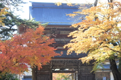 華厳寺の秋 Ⅱ