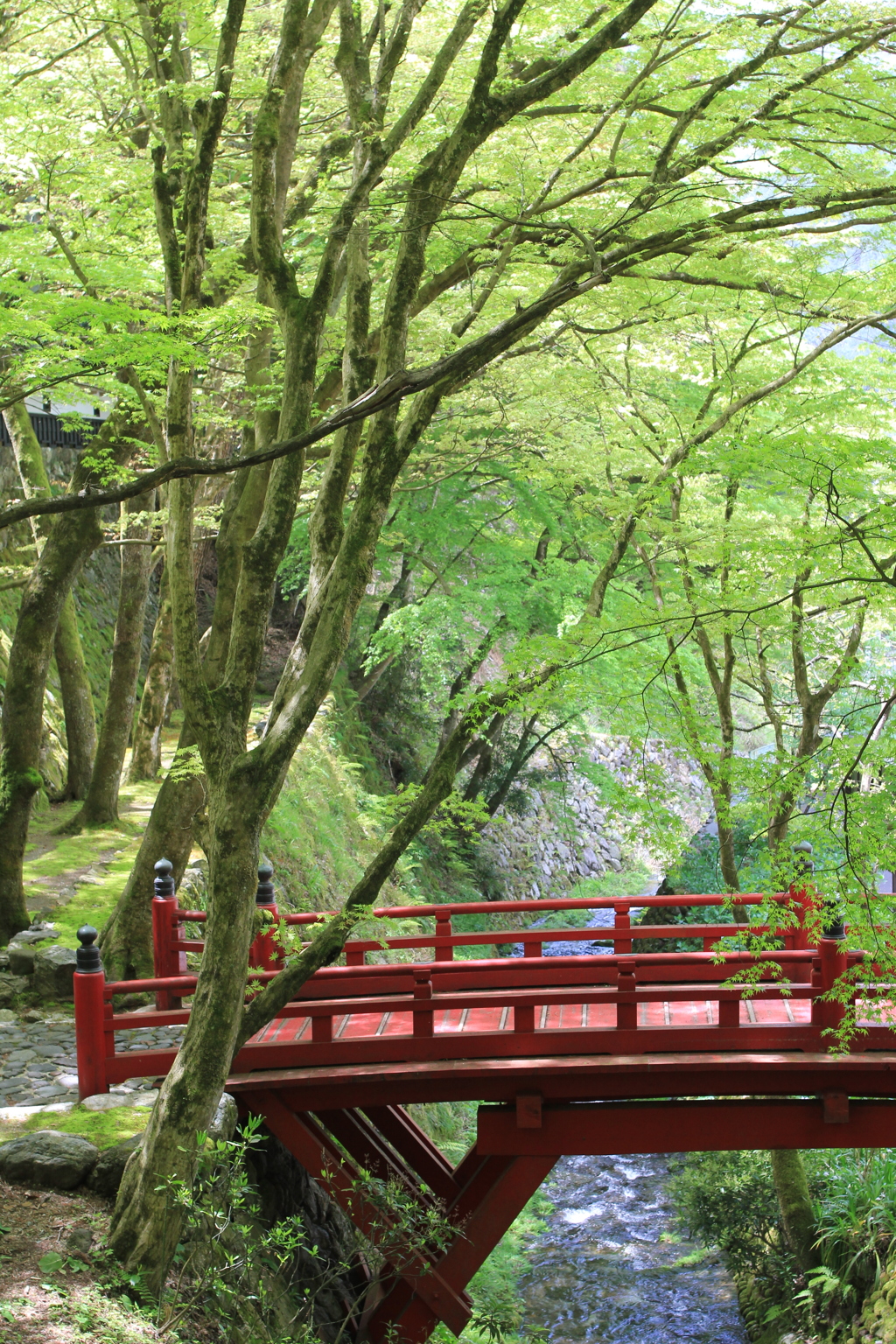 横蔵寺の春