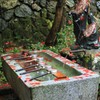 横蔵寺の秋Ⅳ