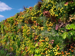 Flower wall