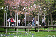 かざぐるまゲートの休日