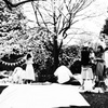 サクラ女子部