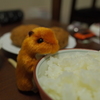 可愛いネズミ食卓に現る