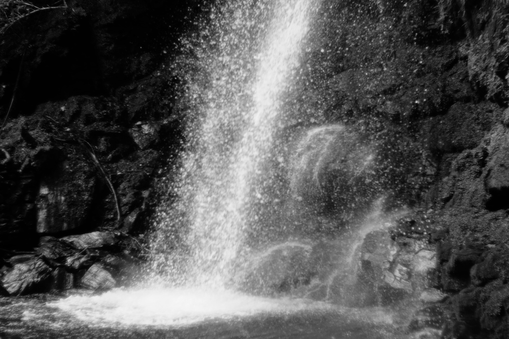 マイナスイオンやね！