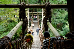 人はなぜ橋を渡るのか