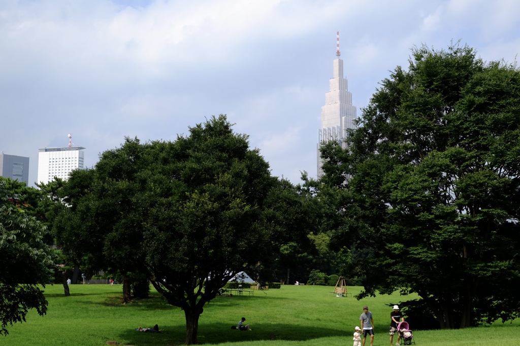 爽やか夏日