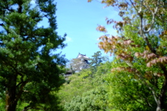 輝く城