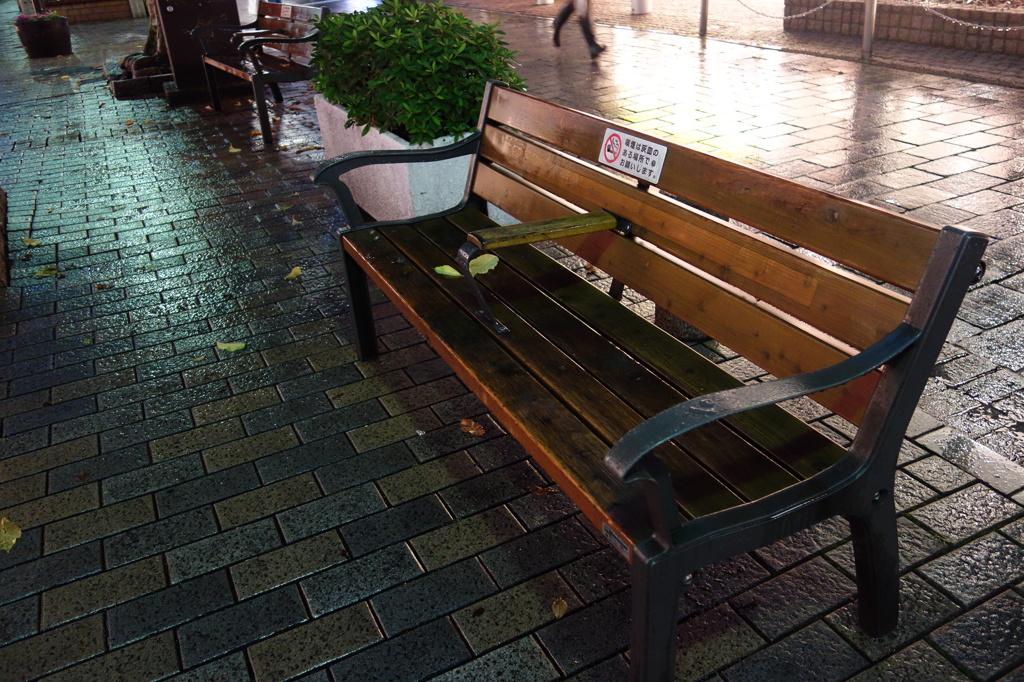 雨のベンチ