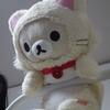 ねこコリ