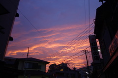 夕焼け