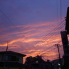夕焼け