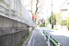みち