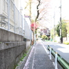 みち