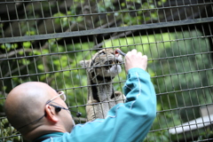 ウンピョウ