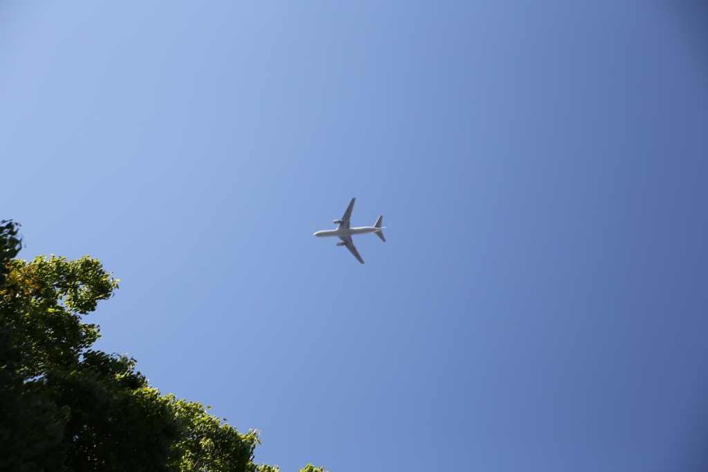 飛行機