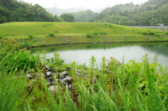 IMGP1255