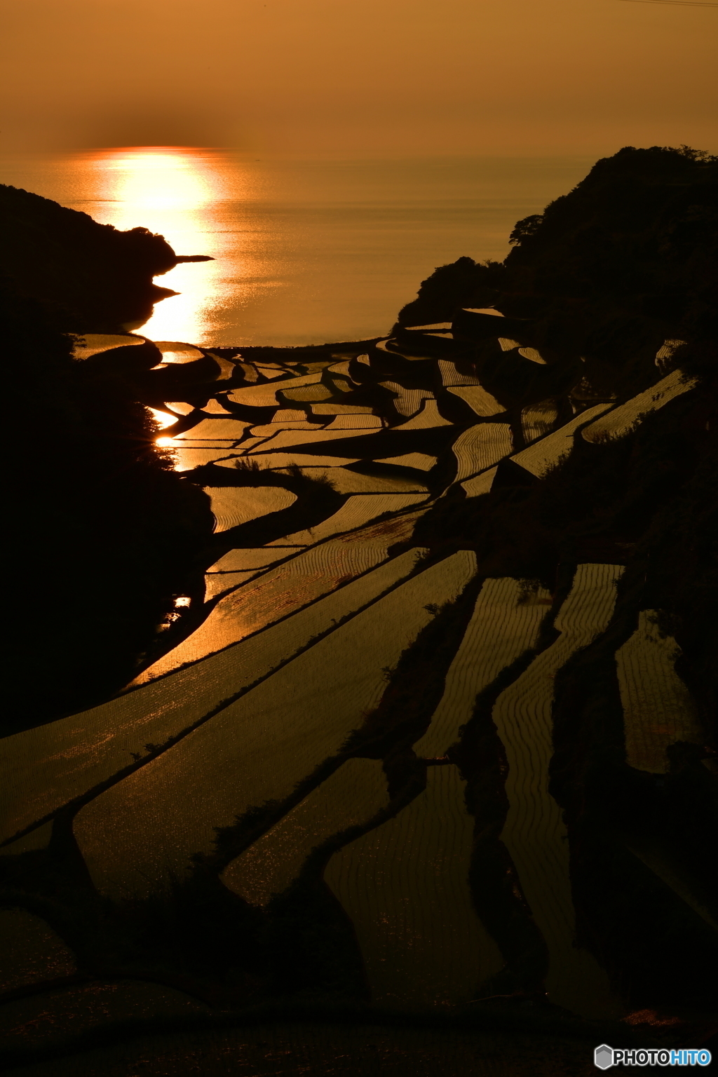 棚田の夕日