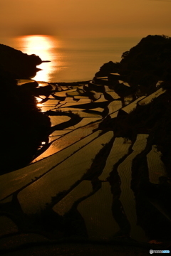 棚田の夕日