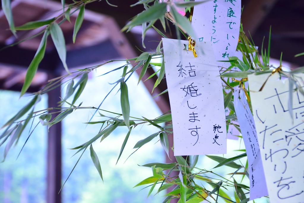 ご報告