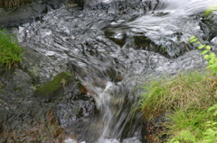 成木の小川　その４