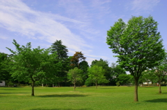 公園