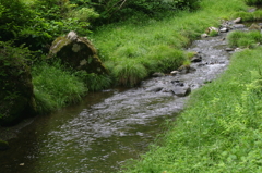 成木の小川　その１