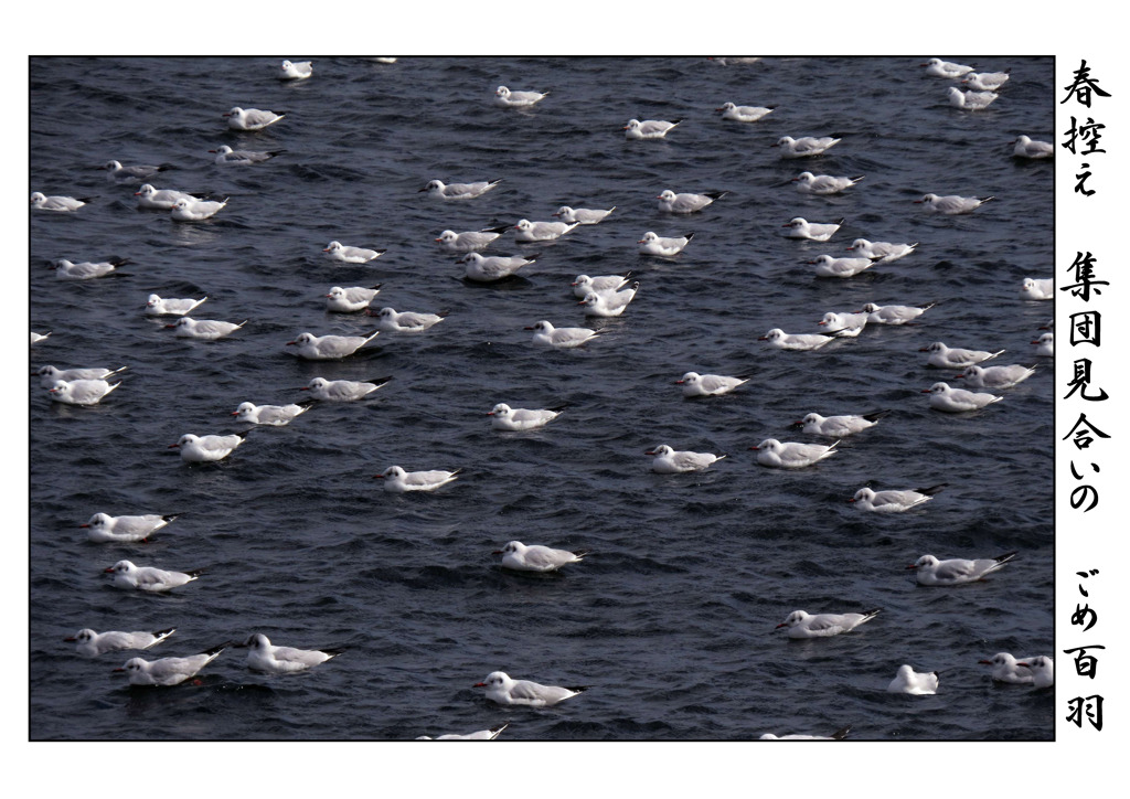 俳諧歳時記A673・・・♪