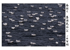 俳諧歳時記A673・・・♪