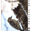 俳諧歳時記A588・・・♪