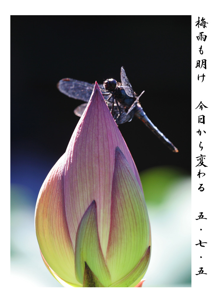 俳諧歳時記A050