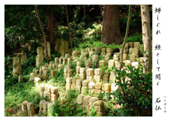 セミの声も・・夜の虫の声も・・教に聞こえてくる静寂の山寺・・♪