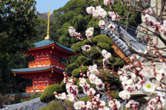 『梅かおる須磨寺！　その１』・・・♪