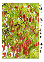 俳諧歳時記A604・・・♪