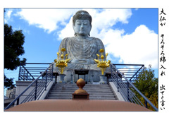 俳諧歳時記A663・・・♪