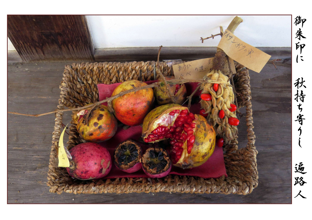 俳諧歳時記A658・・・♪