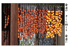 俳諧歳時記A654・・・♪