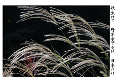 俳諧歳時記A650・・・♪