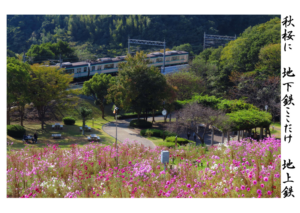 俳諧歳時記A502・・・♪