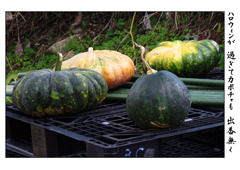 俳諧歳時記A656・・・♪