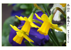 俳諧歳時記A685・・・♪