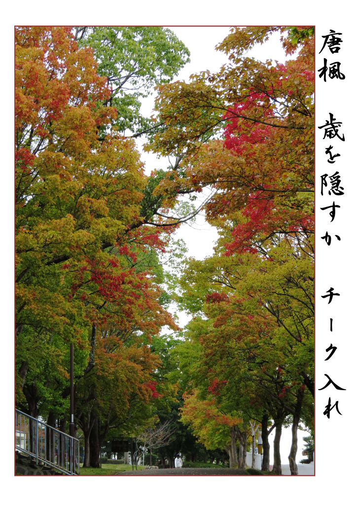 俳諧歳時記A653・・・♪