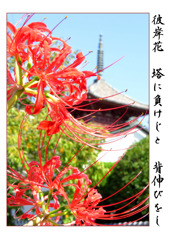 俳諧歳時記A643・・・♪