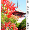 俳諧歳時記A643・・・♪