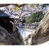 俳諧歳時記A209・・♪