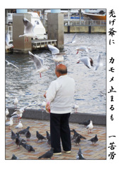 俳諧歳時記A629・・・♪